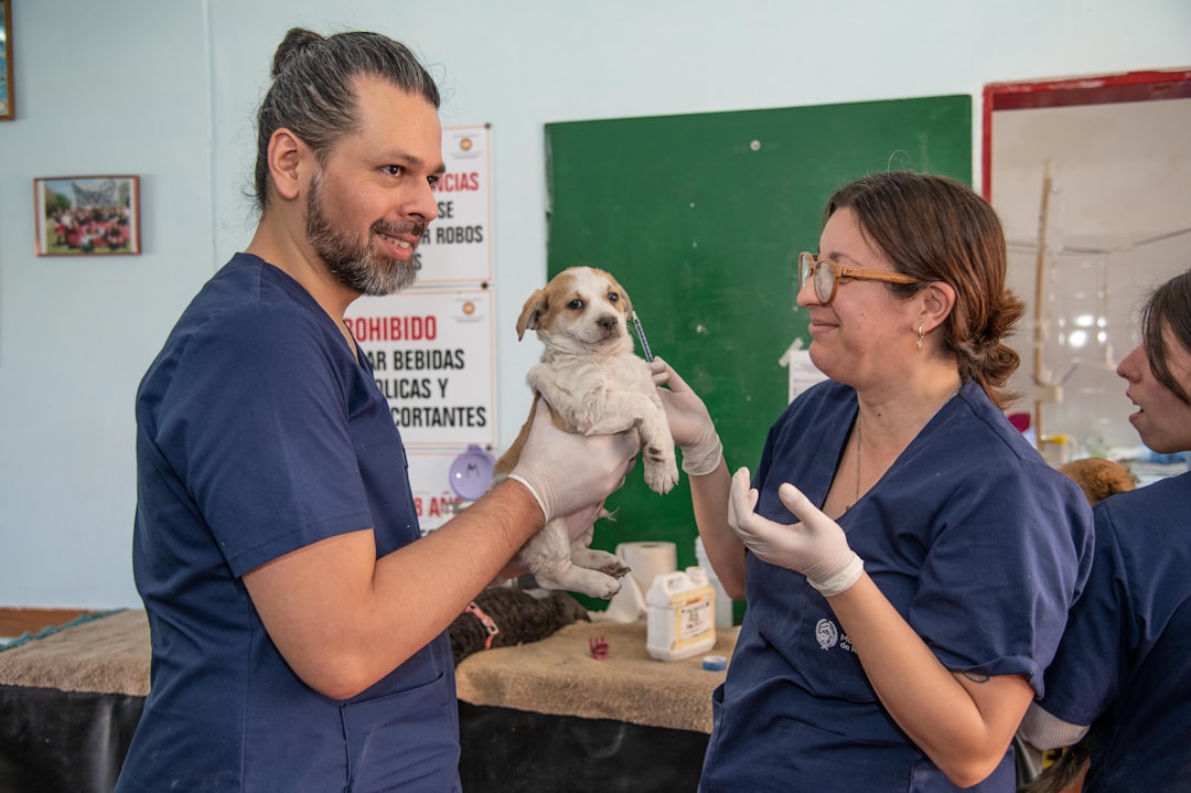 services-01 LLÉVALO AL VETERINARIO DE FORMA PERIÓDICA
