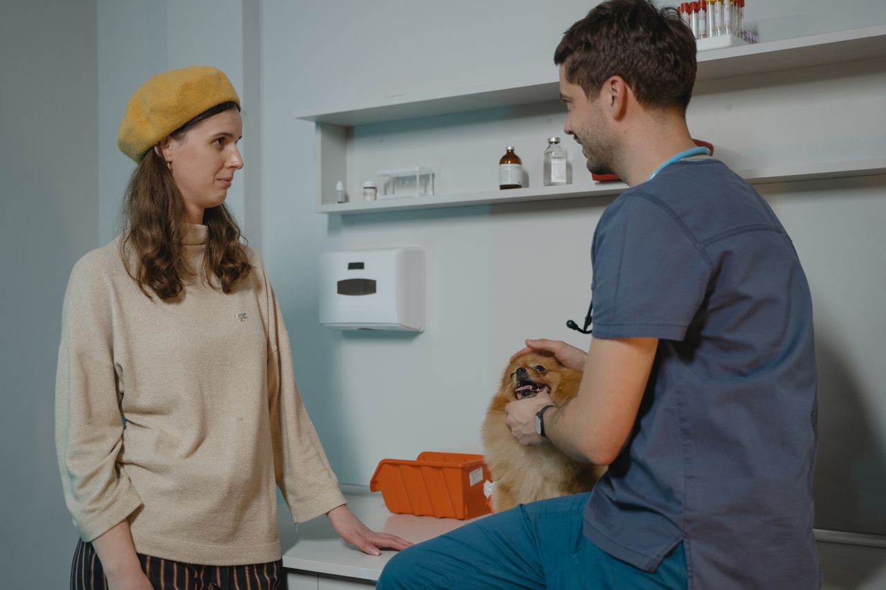 services-03 Veterinarian consulting with dog owner in a clinic while holding a Pomeranian.